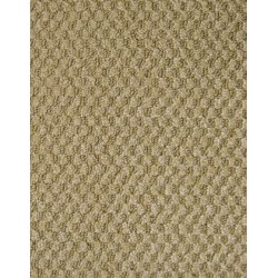 Bleached Wood color swatch